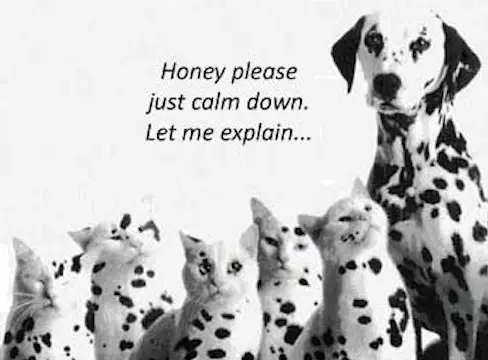 Pleeze Splanin